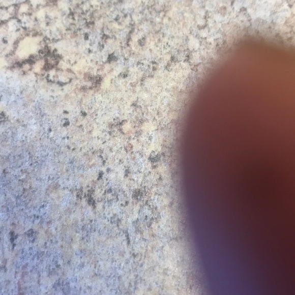 Meet your Posher, Rawlinda - Picture 1 of 1